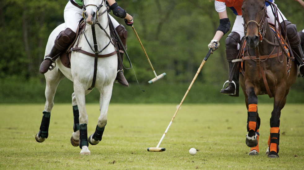 Polo at Cirencester